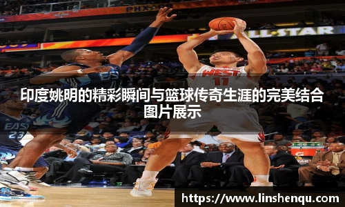 印度姚明的精彩瞬间与篮球传奇生涯的完美结合图片展示