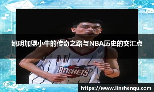 姚明加盟小牛的传奇之路与NBA历史的交汇点