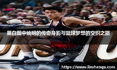 BBIN宝盈