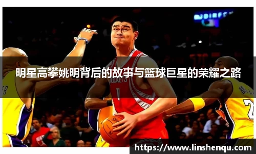 明星高攀姚明背后的故事与篮球巨星的荣耀之路