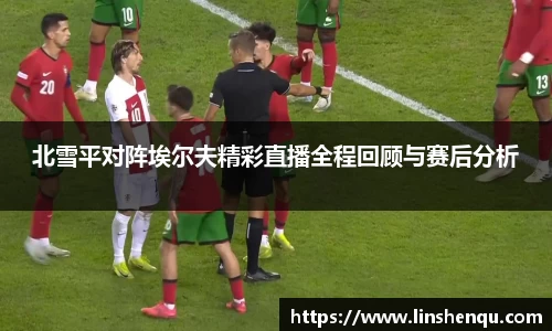 北雪平对阵埃尔夫精彩直播全程回顾与赛后分析