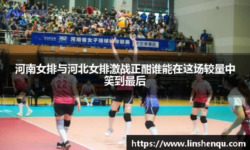河南女排与河北女排激战正酣谁能在这场较量中笑到最后
